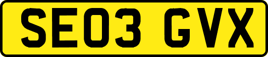 SE03GVX