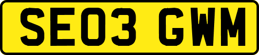 SE03GWM