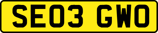SE03GWO