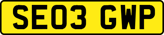 SE03GWP