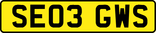 SE03GWS