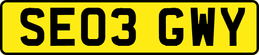 SE03GWY