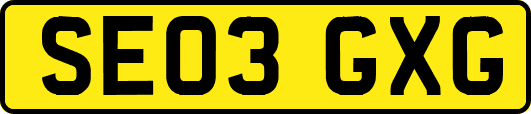 SE03GXG