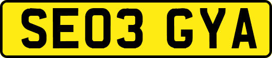 SE03GYA