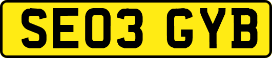 SE03GYB