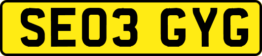 SE03GYG