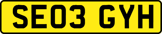 SE03GYH