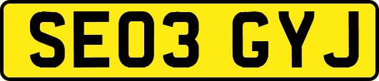 SE03GYJ