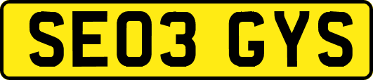 SE03GYS