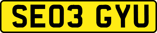 SE03GYU