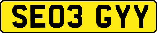 SE03GYY