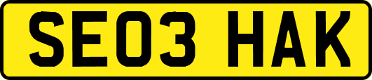 SE03HAK