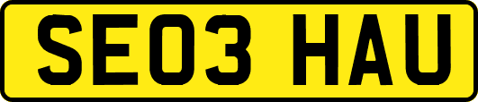 SE03HAU