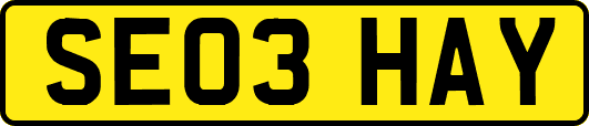 SE03HAY