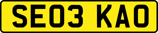 SE03KAO