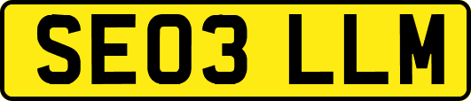 SE03LLM
