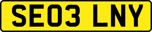 SE03LNY