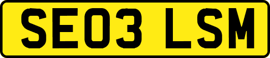SE03LSM
