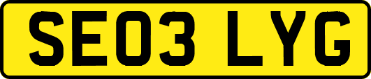 SE03LYG