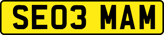 SE03MAM
