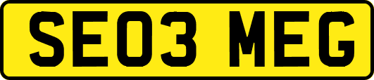 SE03MEG