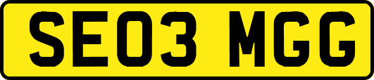SE03MGG