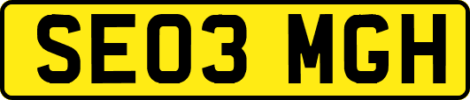 SE03MGH