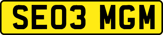 SE03MGM