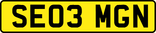 SE03MGN
