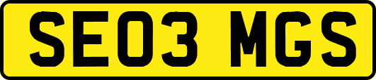 SE03MGS