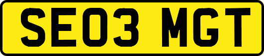 SE03MGT
