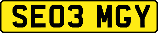 SE03MGY