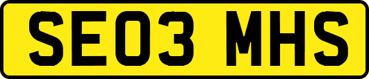 SE03MHS