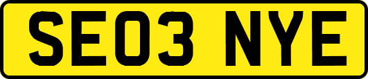SE03NYE