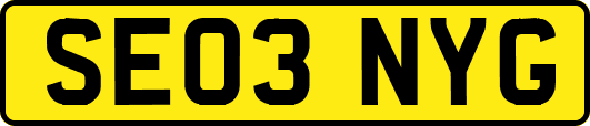 SE03NYG