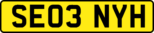 SE03NYH