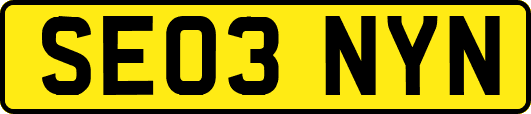 SE03NYN