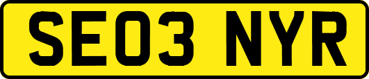 SE03NYR
