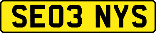 SE03NYS