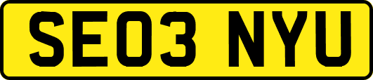 SE03NYU