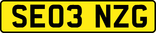SE03NZG