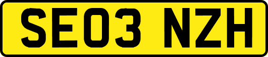 SE03NZH