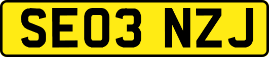 SE03NZJ