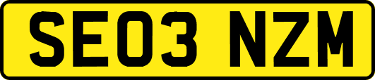 SE03NZM
