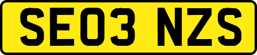 SE03NZS