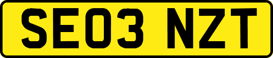 SE03NZT