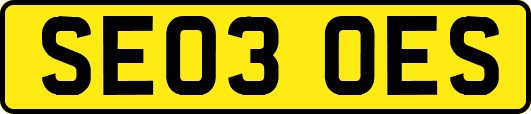 SE03OES