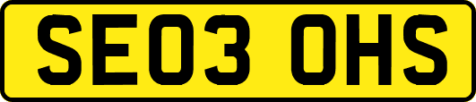 SE03OHS