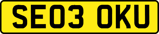 SE03OKU