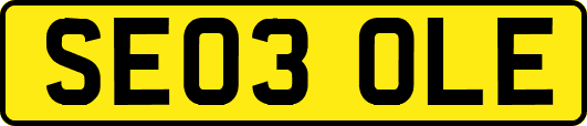 SE03OLE